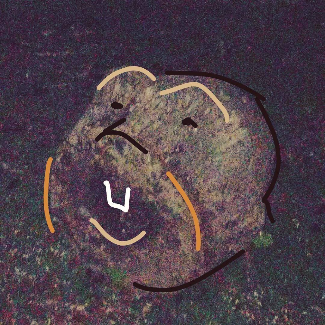 53ed501da328c3df58edaecdca4b13fd.jpg