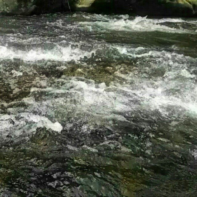 fb248362a491ef912915d72dd7a98f6f.jpg