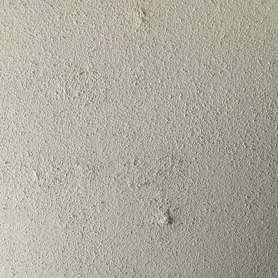 134998866_1197903243980826_2287347722199353023_n_17895507448775780.jpg